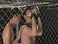 The Cage